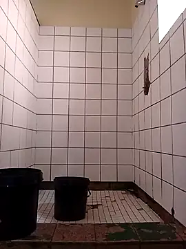 Dube501 online show from November 2025 05:46:02 AM