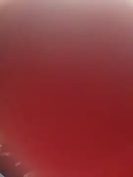 blondaf online show from November 2025 05:29:02 AM