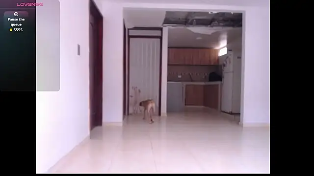 Snapshot of leslycarsson chatting on October 2025 07:11:02 PM leslycarsson online show from October 2025 07:11:02 PM