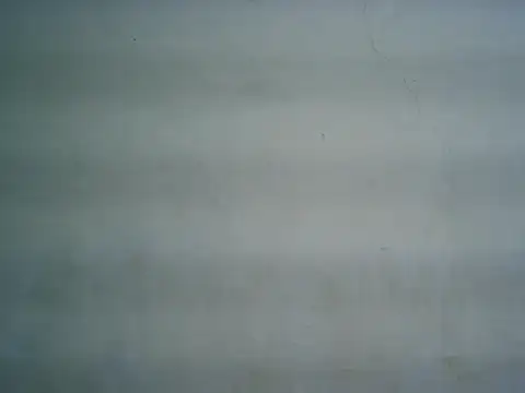 michel1520 online show from March 2026 10:47:02 PM