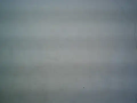 michel1520 online show from June 2026 07:50:02 AM