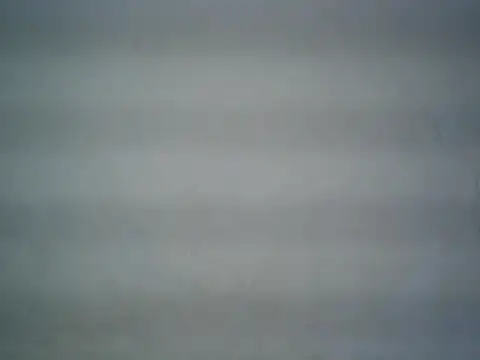 michel1520 online show from June 2026 12:26:02 PM