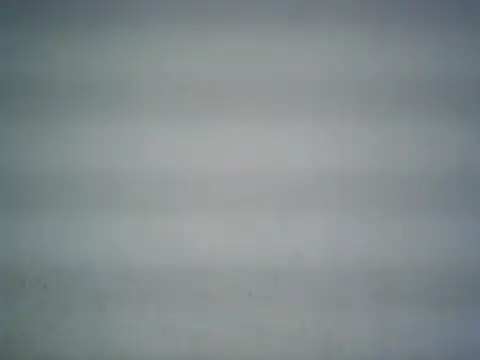 michel1520 online show from June 2026 05:48:02 PM