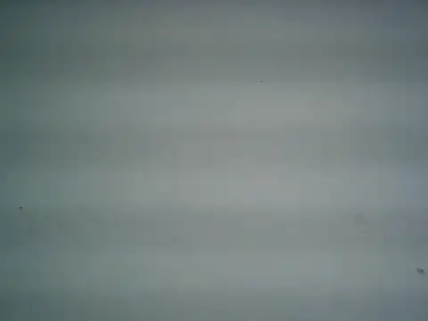 michel1520 online show from June 2026 12:26:01 AM