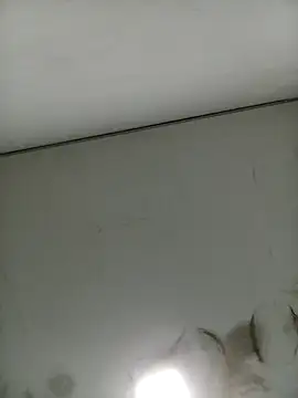 Snapshot of Marcio2235 chatting on September 2025 06:06:02 AM Marcio2235 online show from September 2025 06:06:02 AM