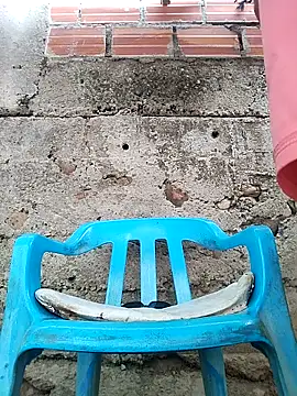 Black Manba online show from September 2025 11:45:01 AM