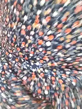 Snapshot of rameshjisex chatting on March 2026 02:15:01 AM rameshjisex online show from March 2026 02:15:01 AM