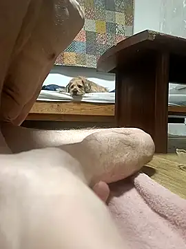 Snapshot of Bisexualhard23 chatting on January 2026 12:58:02 AM Bisexualhard23 online show from January 2026 12:58:02 AM