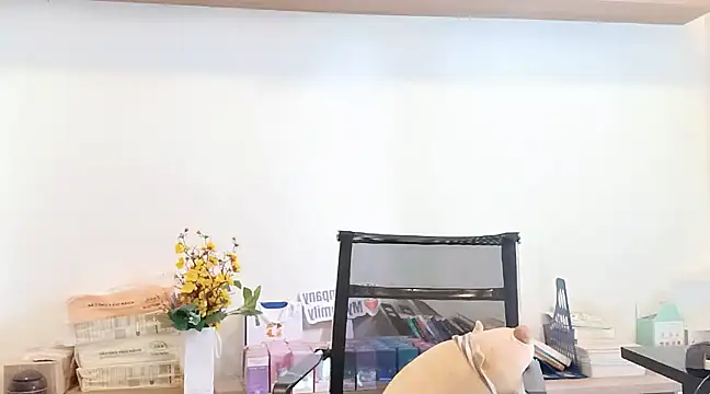 Lush-Office online show from March 2025 07:57:01 AM