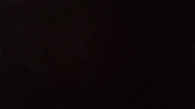 zoltard 1911 online show from February 2026 12:59:01 AM