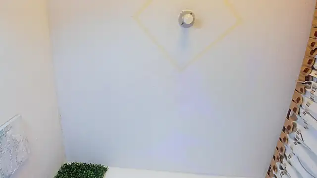 wandaliones online show from February 2025 05:48:02 PM