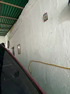 Snapshot of MARIELSINS_AND_DAIKIJACK chatting on February 2026 05:20:01 PM MARIELSINS AND DAIKIJACK online show from February 2026 05:20:01 PM