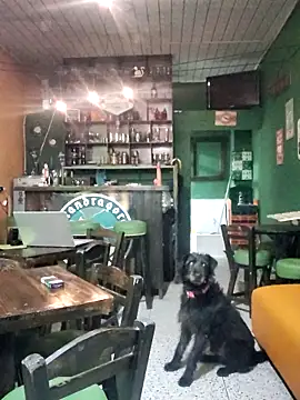 Snapshot of ilonna2025 chatting on March 2026 11:33:01 PM ilonna2025 online show from March 2026 11:33:01 PM