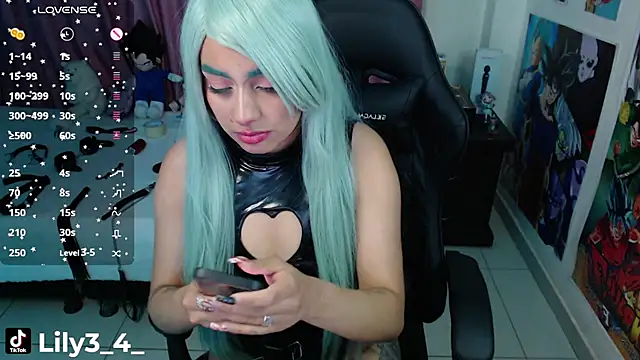 Snapshot of lily3_4 chatting on January 2025 07:30:01 AM lily3 4 online show from January 2025 07:30:01 AM