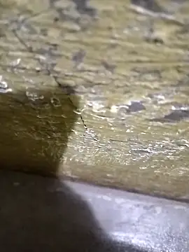 Southindian6996 online show from February 2025 04:24:02 PM