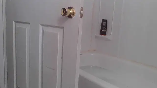 yourcourage1 online show from October 2025 05:17:02 AM