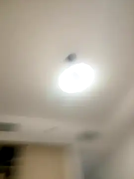 Snapshot of SexySophiaax chatting on October 2025 01:00:02 PM SexySophiaax online show from October 2025 01:00:02 PM