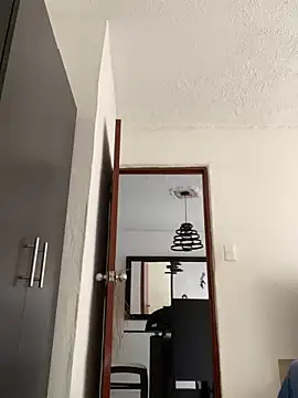 Snapshot of Diegosavage3 chatting on February 2025 08:45:02 PM Diegosavage3 online show from February 2025 08:45:02 PM