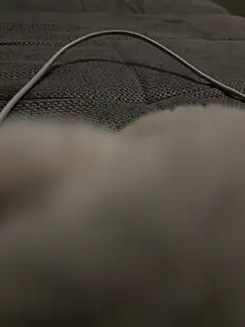 Snapshot of hengst2312 chatting on January 2025 06:10:02 PM hengst2312 online show from January 2025 06:10:02 PM