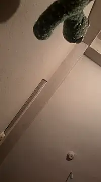 Snapshot of RaviRoy2326 chatting on March 2025 08:10:02 PM RaviRoy2326 online show from March 2025 08:10:02 PM