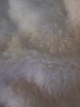 feketedemon36 online show from January 2025 04:57:01 PM