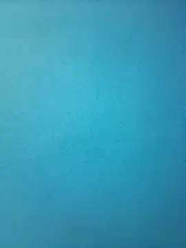 randit7 online show from February 2025 01:47:02 PM