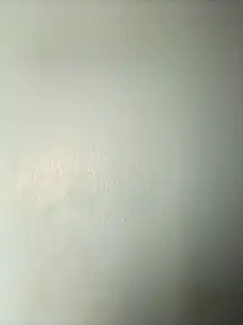 randit7 online show from March 2025 04:16:02 AM