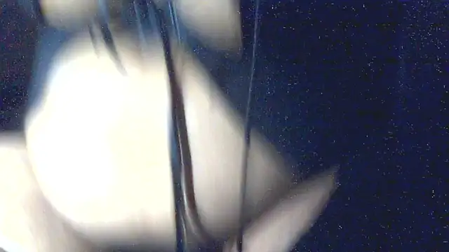 Leelasissy online show from March 2026 05:20:02 PM