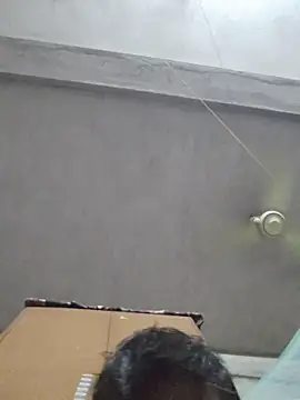 Snapshot of birds0641 chatting on October 2025 05:56:01 PM birds0641 online show from October 2025 05:56:01 PM