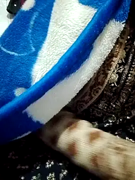 saaniya online show from January 2026 07:17:01 PM