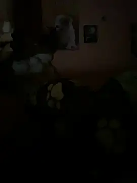 Miliboobs  online show from March 2025 04:50:02 AM