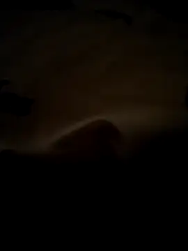 Snapshot of baojai01 chatting on March 2026 12:01:02 PM baojai01 online show from March 2026 12:01:02 PM