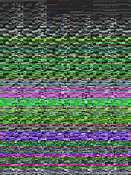 Snapshot of Yankees- chatting on February 2025 03:19:01 AM Yankees- online show from February 2025 03:19:01 AM