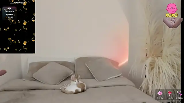 Snapshot of Sammy-Jhonson chatting on March 2026 11:05:02 PM Sammy-Jhonson online show from March 2026 11:05:02 PM