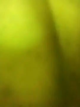 alicnonave online show from November 2025 12:02:01 AM