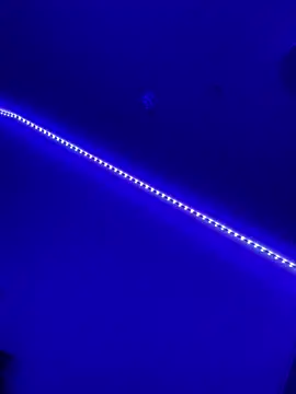 Snapshot of DaniJohnson chatting on February 2025 03:19:01 PM DaniJohnson online show from February 2025 03:19:01 PM