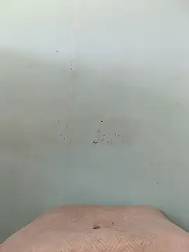 Dracoandr online show from October 2025 04:05:01 PM