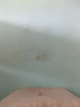 Dracoandr online show from October 2025 05:08:01 PM