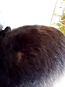 Snapshot of Elgroney23 chatting on December 2025 04:58:02 PM Elgroney23 online show from December 2025 04:58:02 PM