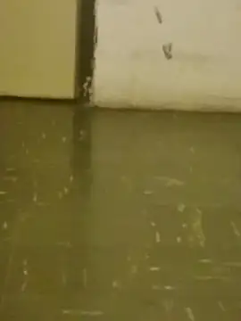 DahGiver online show from February 2025 10:47:02 PM