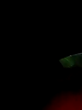 ginger 1 1 online show from March 2025 12:38:02 AM