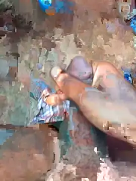 cumcum94 online show from April 2026 05:25:02 AM