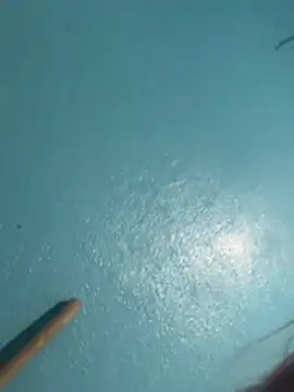 Snapshot of sharonlopez9611 chatting on February 2026 02:53:02 AM sharonlopez9611 online show from February 2026 02:53:02 AM