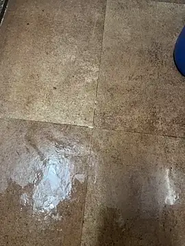 Snapshot of man16101 chatting on December 2025 01:40:01 PM man16101 online show from December 2025 01:40:01 PM