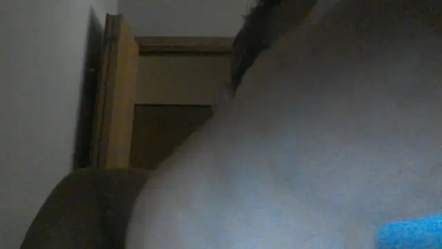 eccomi6996 online show from June 2026 08:52:01 AM