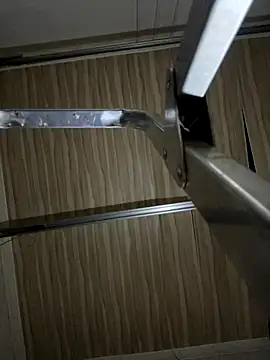 Snapshot of OneWhoBringsJoy chatting on November 2025 11:58:01 PM OneWhoBringsJoy online show from November 2025 11:58:01 PM