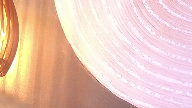 lissa palmer online show from November 2025 03:10:02 AM