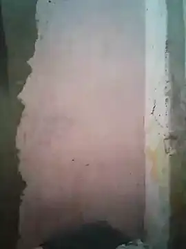 shuelldin online show from February 2025 05:59:01 AM