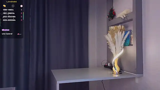 Snapshot of Hisoka_akerley chatting on February 2025 07:01:01 AM Hisoka akerley online show from February 2025 07:01:01 AM