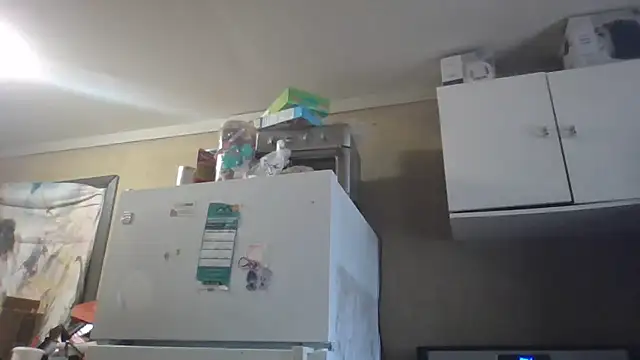 Snapshot of birdg chatting on March 2026 02:46:02 PM birdg online show from March 2026 02:46:02 PM